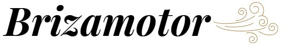 Brizamotor